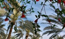 الطقس.. أجواء غائمة واستقرار في درجات الحرارة